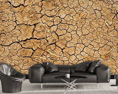 Kurak Toprak Desen Duvar Kağıdı Modeli