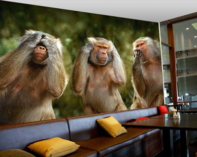 Ormanda 3 Maymun Resimli Duvar Kağıdı Modeli