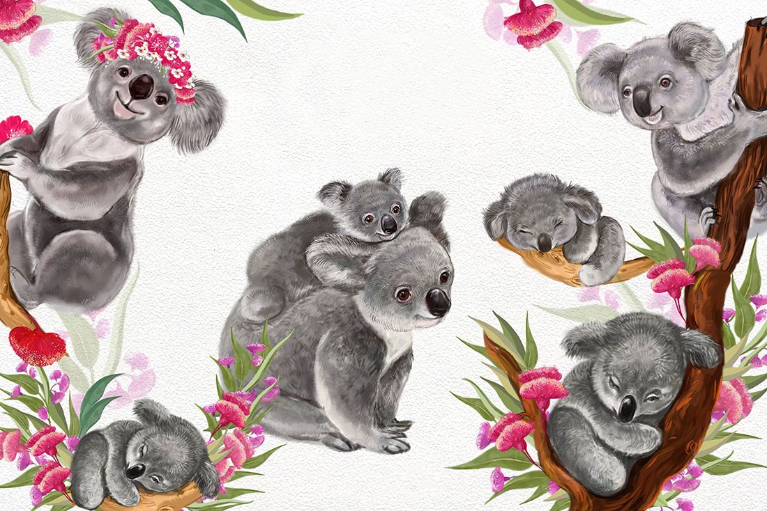 Koala Ailesi Baskılı Duvar Kağıdı Modeli