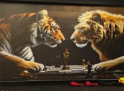 Sadece Ağırlık Kaldırma, Oyunu Kazan: Spor Salonu Duvarlarındaki Zeka ve Güç Savaşı