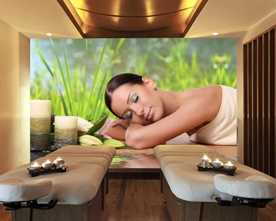 Spa Merkezi 3D Duvar Kağıdı Görsel Modeli